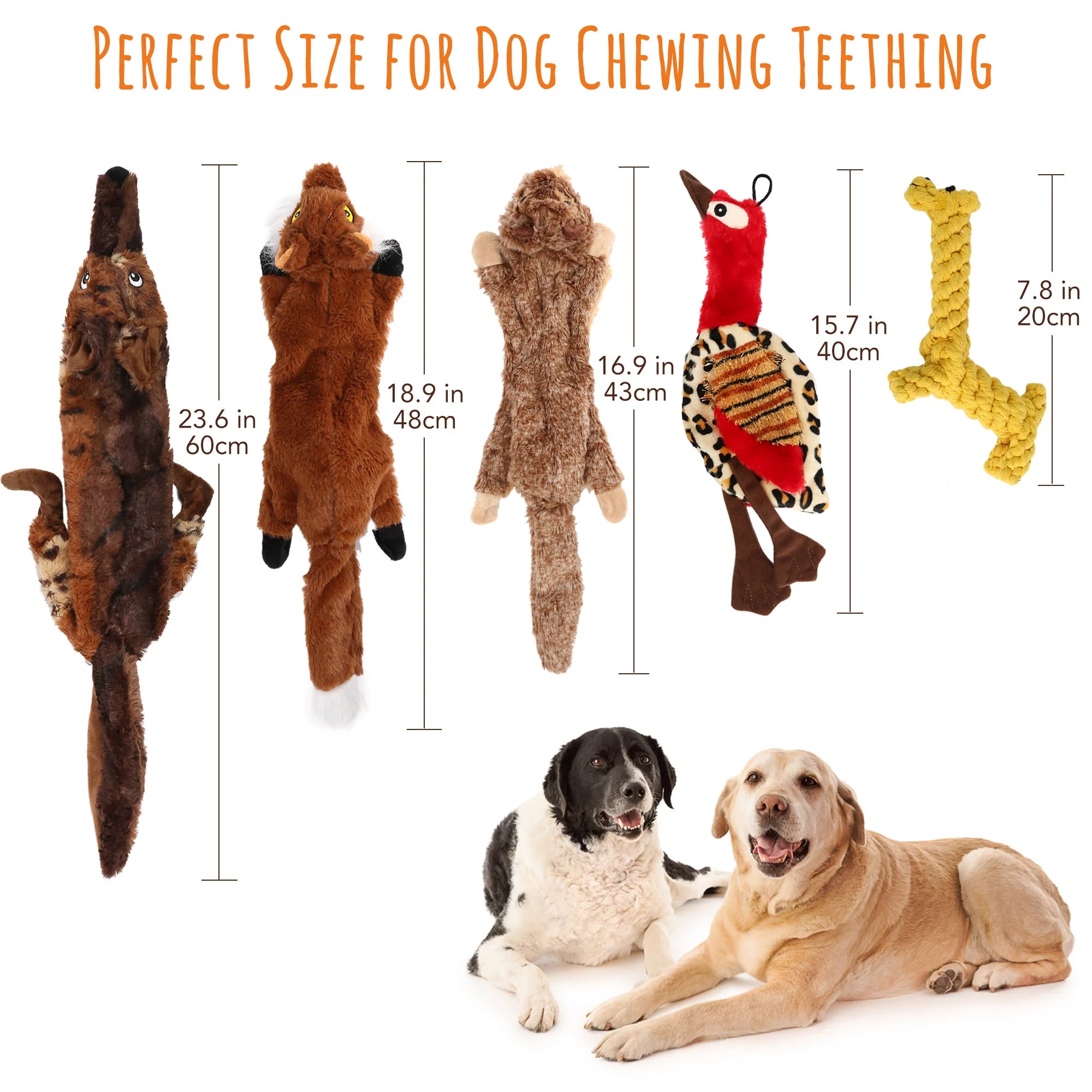 5Pcs Dog Squeaky Toys for Small Medium Dog, No Stuffing